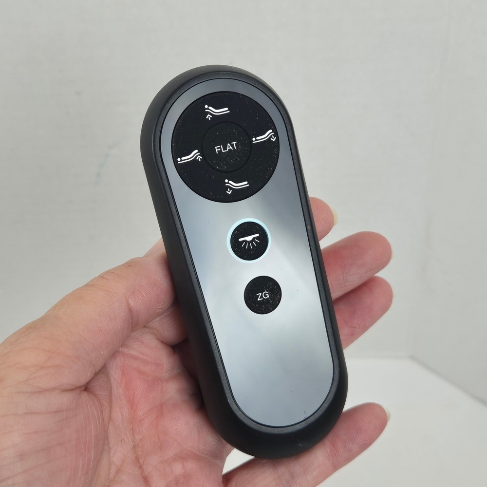 Richmat HJH158 Adjustable Bed Remote Control 8H157B003 Malouf Structures E455